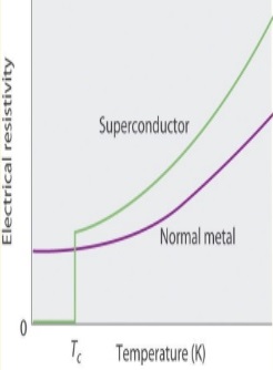 Electrical Resistivity Vs Temperature Plot for Superconductors and Normal Metals