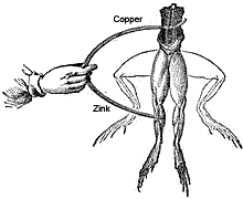 Luigi Galvani experiment with frogs legs