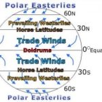 coriolis effect on global winds