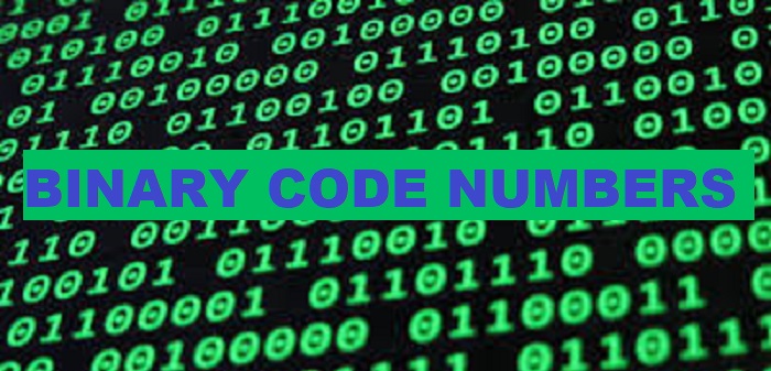binary code numbers system