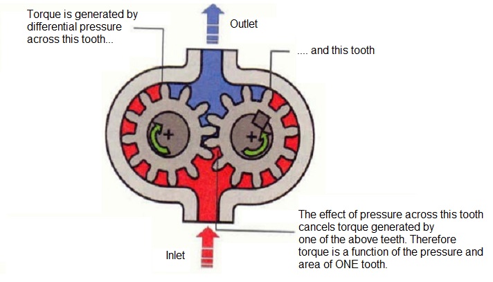 torque generation in external gear motor