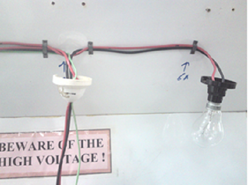 Bulb which the current taken from the fluorescent lamp